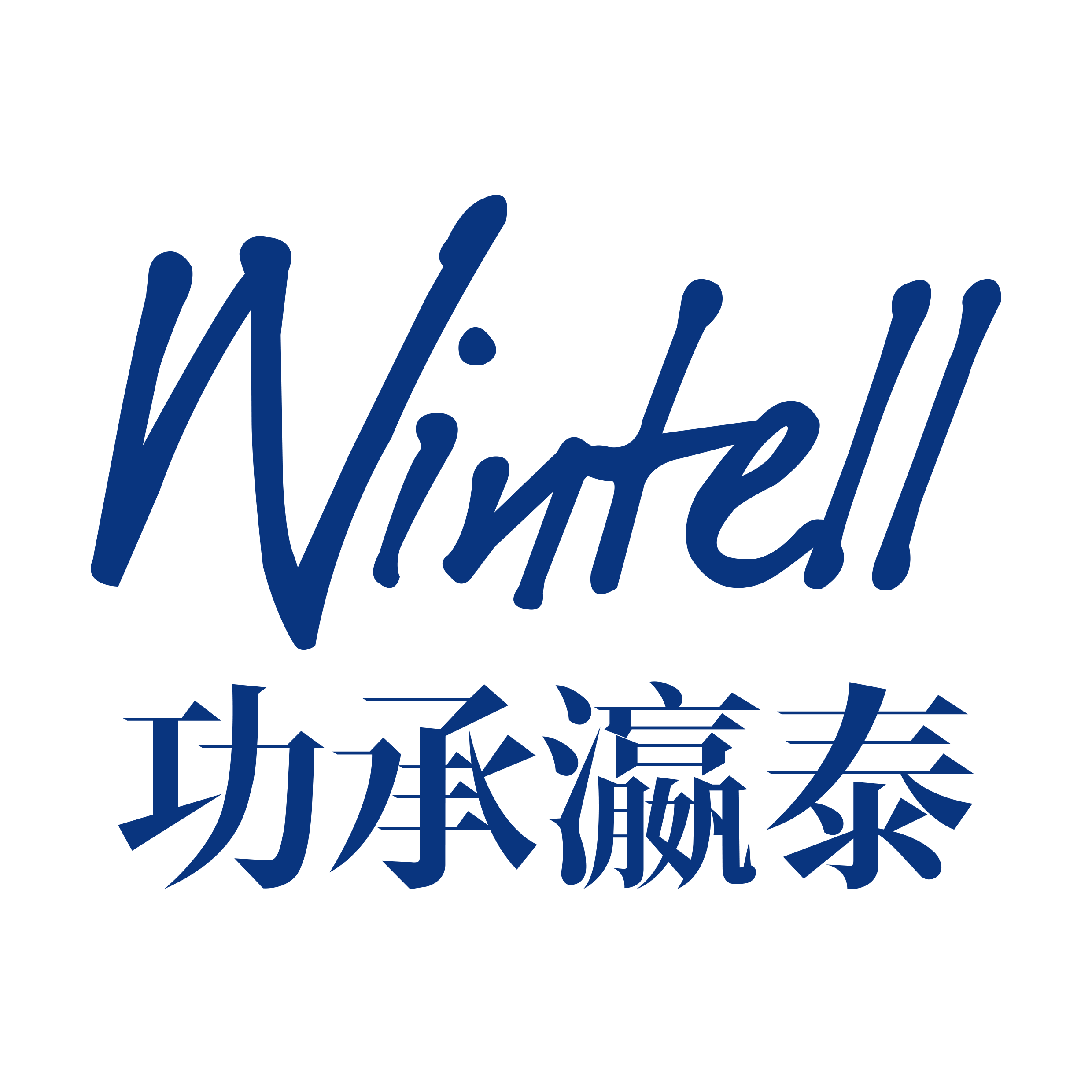 Wintell & Co Logo